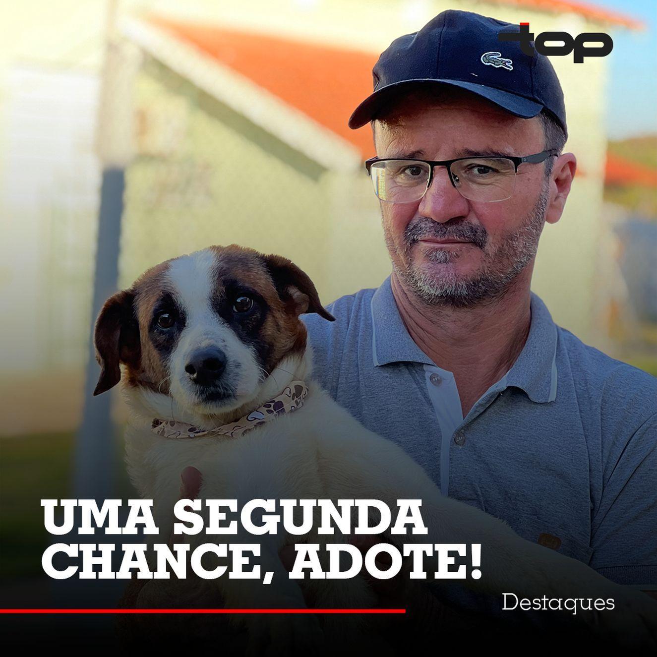 É hora de doar e receber amor