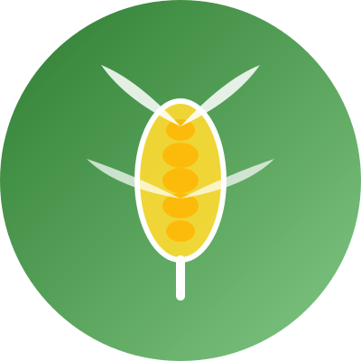 Agro é Top