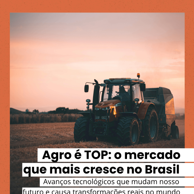 Novo Modelo - TOP INSTAGRAM (1)