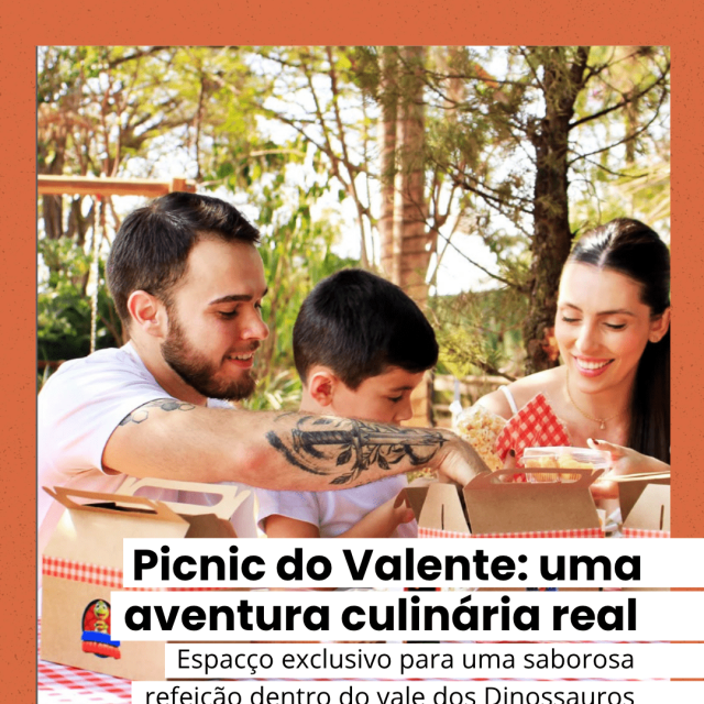 Novo Modelo - TOP INSTAGRAM (2)